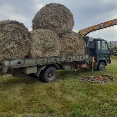 Продам сено в рулонах