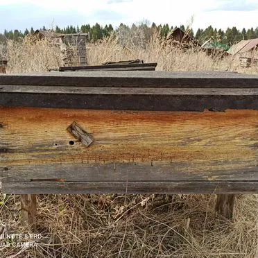 Улья