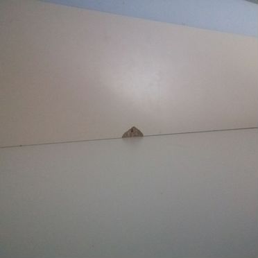 Детская кровать чердак 90×200