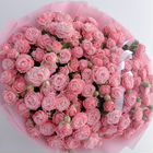 Пионовидные розы кустовые