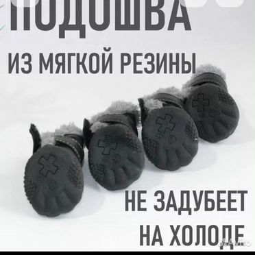 Обувь для собак