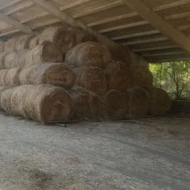 Продам сено в рулонах