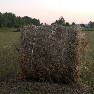 Продам сено в рулонах