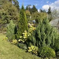 Участок 5 сот. (СНТ, ДНП)