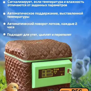 Автоматический инкубатор для яиц "Спектр-84-01"