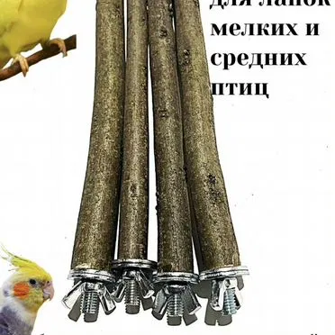 Жердочки для птиц