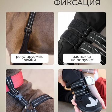 Обувь для собак