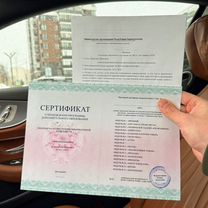 Пассивный доход на видеороликах, Мамлютка