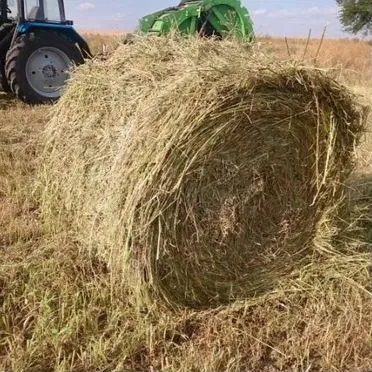 Сено в рулонах