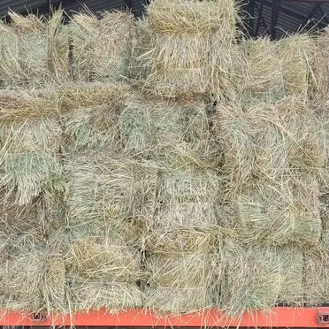 Сено, пырей в тюках